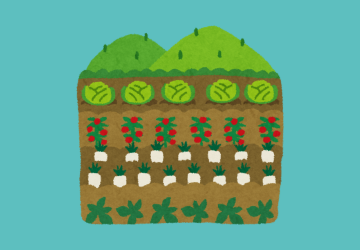 jardin merveilles